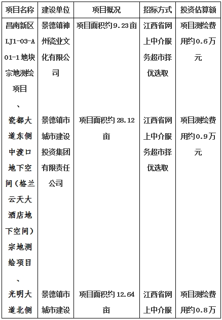 景德鎮市昌南新區LJ1-03-A01-1地塊、瓷都大道東側中渡口地下空間（格蘭云天大酒店地下空間）、光明大道北側利民路西側地下空間（青少年宮地下空間）、規劃二路北側地下空間地塊二（加速基地地下空間）、規劃二路北側地下空間地塊一（加速基地地下空間）、景德大道南側天寶橋西側地塊、景興大道東側如意路北側地下空間(社會公共服務