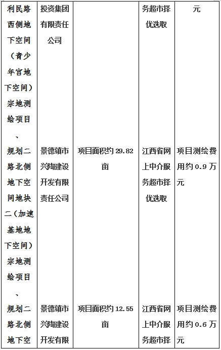 景德鎮市昌南新區LJ1-03-A01-1地塊、瓷都大道東側中渡口地下空間（格蘭云天大酒店地下空間）、光明大道北側利民路西側地下空間（青少年宮地下空間）、規劃二路北側地下空間地塊二（加速基地地下空間）、規劃二路北側地下空間地塊一（加速基地地下空間）、景德大道南側天寶橋西側地塊、景興大道東側如意路北側地下空間(社會公共服務