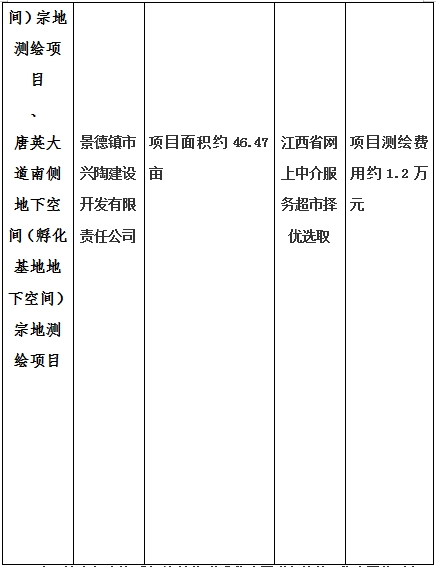 景德鎮市昌南新區LJ1-03-A01-1地塊、瓷都大道東側中渡口地下空間（格蘭云天大酒店地下空間）、光明大道北側利民路西側地下空間（青少年宮地下空間）、規劃二路北側地下空間地塊二（加速基地地下空間）、規劃二路北側地下空間地塊一（加速基地地下空間）、景德大道南側天寶橋西側地塊、景興大道東側如意路北側地下空間(社會公共服務