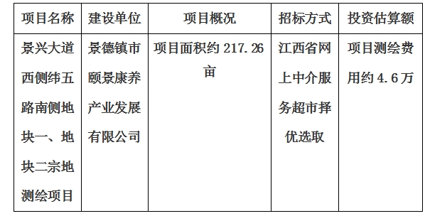 景興大道西側緯五路南側地塊一、地塊二宗地